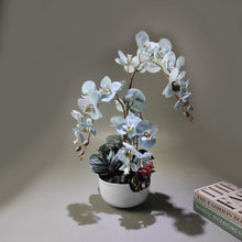 Load image into Gallery viewer, Artifical orchid arrangement in ceramic pot
