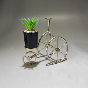 Artificial cactus arrangement in metal tri-cycle
