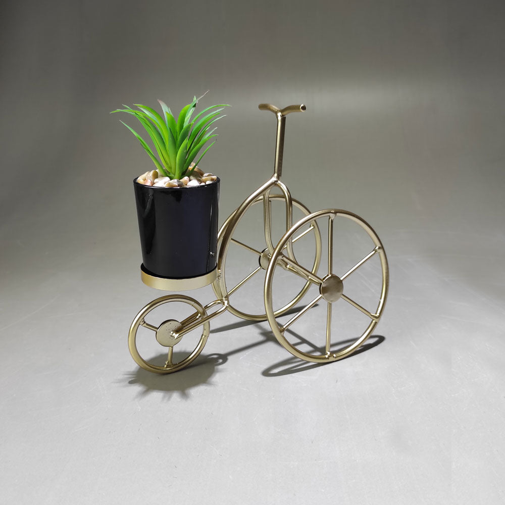 Artificial cactus arrangement in metal tri-cycle