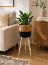 Load image into Gallery viewer, Nordic woven rattan planter stand with wooden legs for indoor plant and Scandinavian home decor