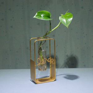 Indoor water desktop plant holder ractang shape