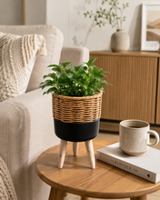Load image into Gallery viewer, Nordic Rattan Planter Stand Collection | 3 Sizes Available
